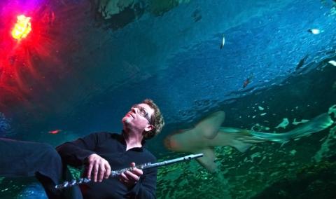 Mark-A.-Lotz-zon-8361